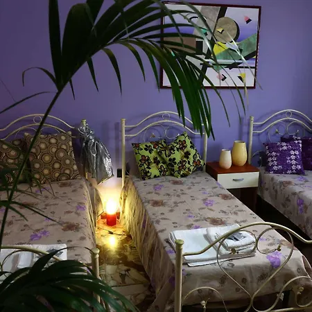 Il Giardino Delle Calendule Bed & Breakfast